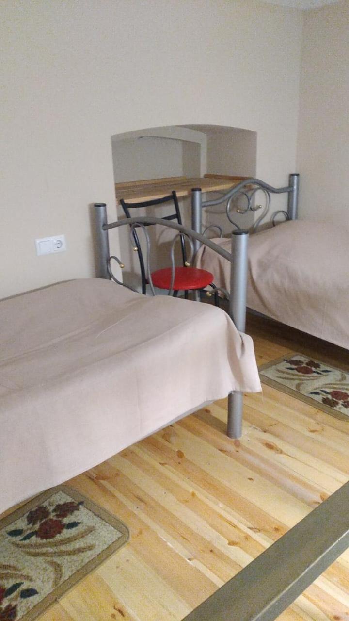 Appartement Smoking Lion à Tbilissi Extérieur photo